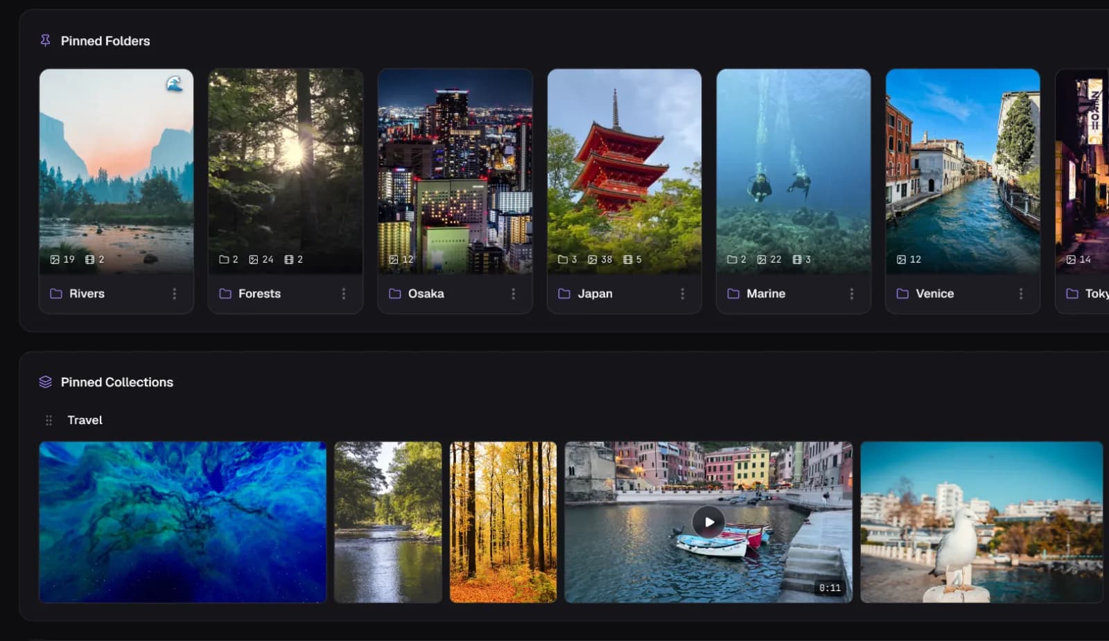 Loshelf's dashboard with pinned folders and pinned collections