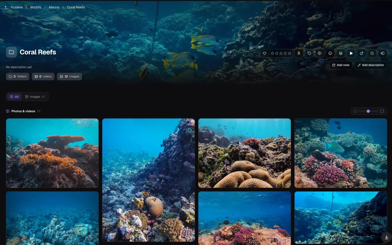 An opened folder in Loshelf with a full-width banner image across the top