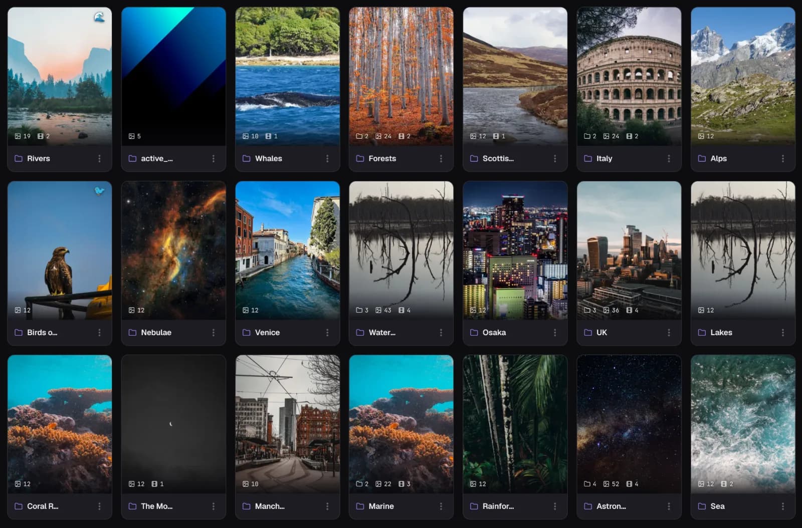 Folder cards in Loshelf showing a photo collection on macOS