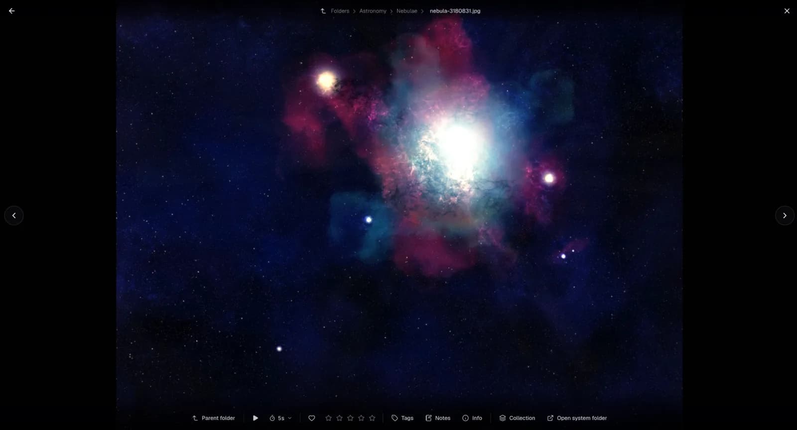 A photo open in Loshelf's full-screen viewer