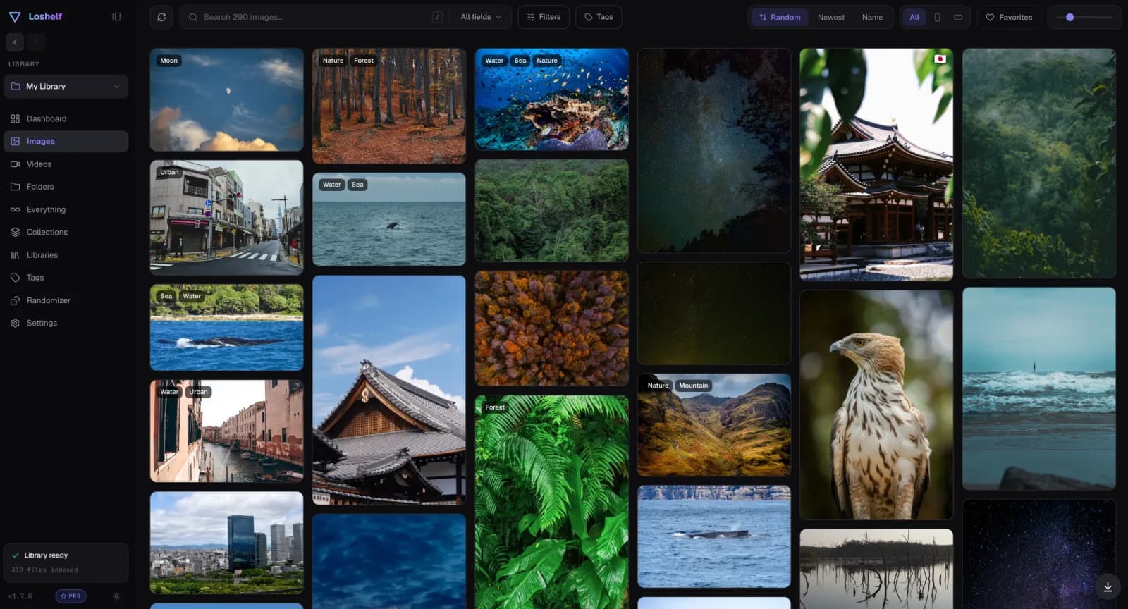 Loshelf photo library shown as a masonry grid of thumbnails