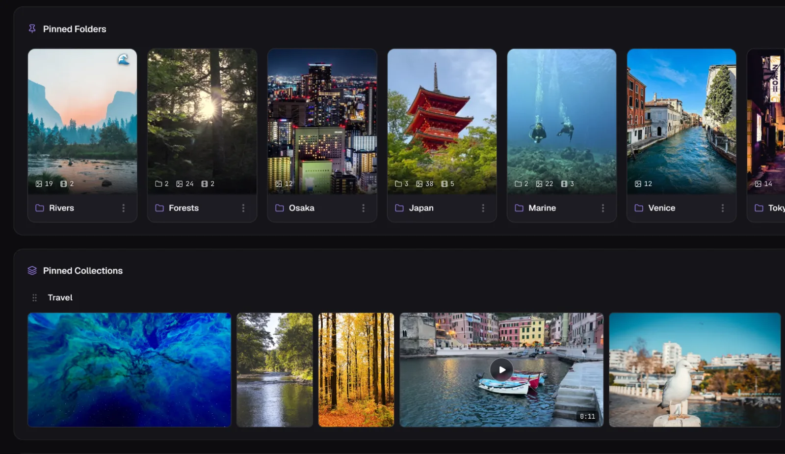 Loshelf's dashboard with pinned folders and pinned collections