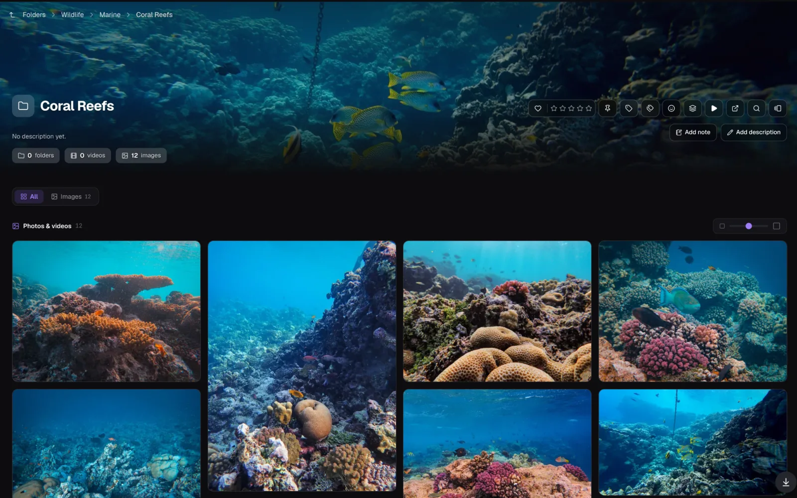 An opened folder in Loshelf with a full-width banner image across the top